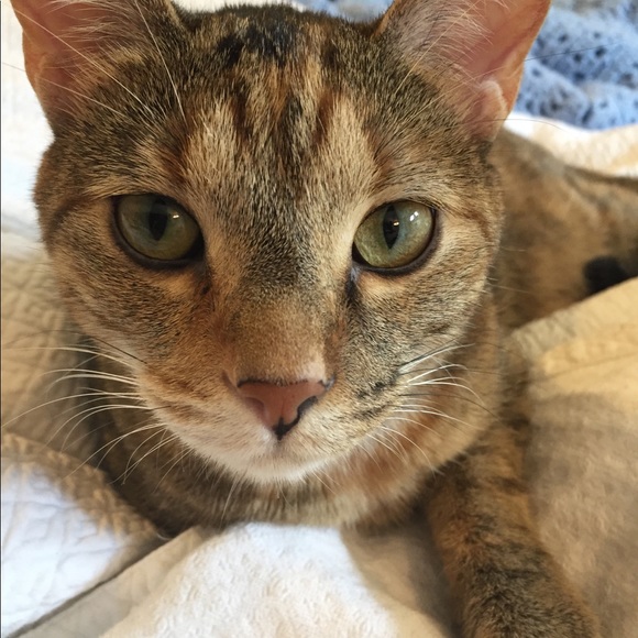 Meet your Posher, Mary - Picture 1 of 1